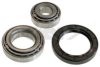 SPIDAN 72181 Wheel Bearing Kit